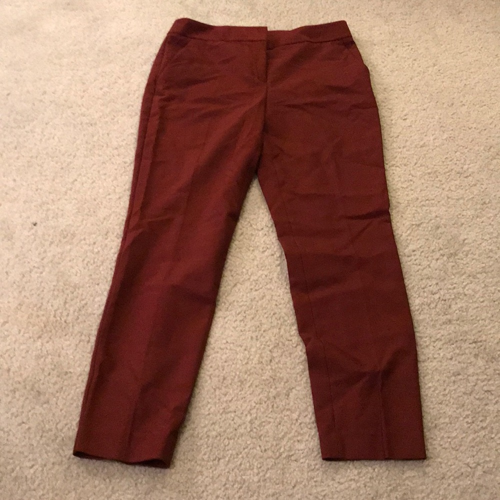 Express columnist pants in maroon